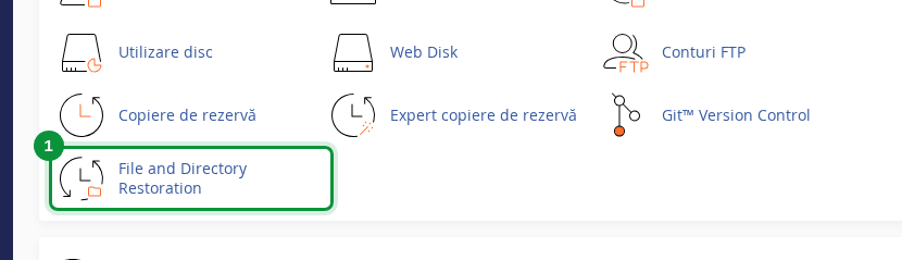 File and Directory Restoration în cPanel