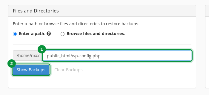 Calea fișierului și butonul Show Backups