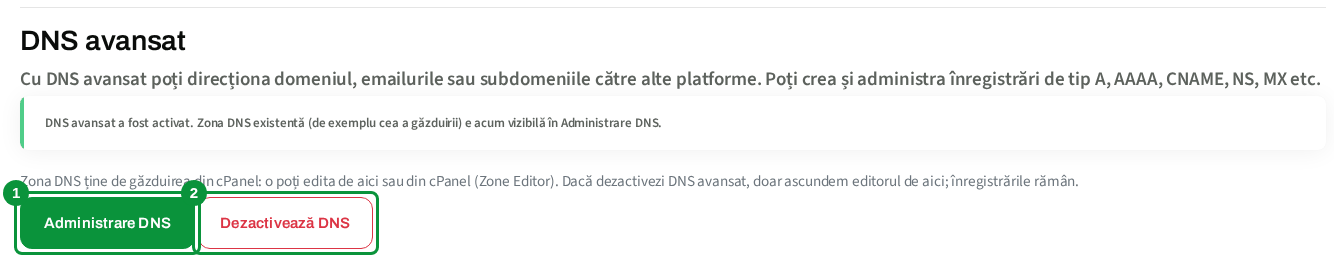 DNS avansat activat, cu butoanele Administrare DNS și Dezactivează DNS
