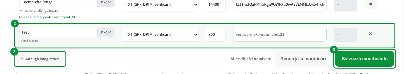 Rândul nou completat cu o înregistrare TXT