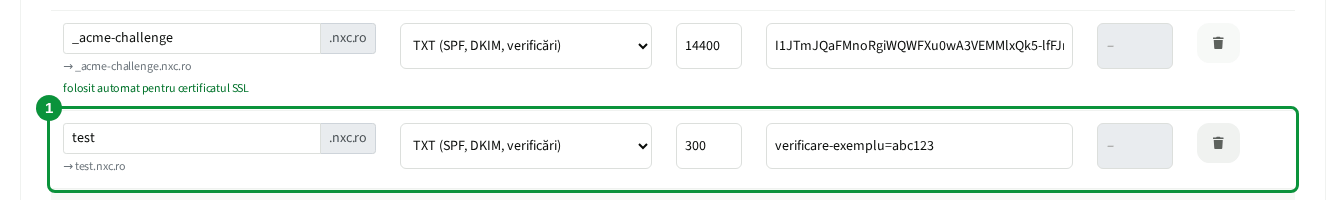 Înregistrarea nouă apare în tabel după salvare