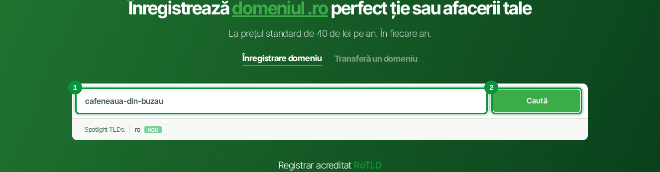 Căutarea unui domeniu .ro