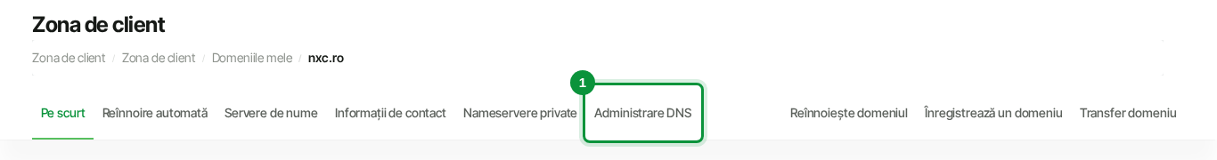 Fila Administrare DNS